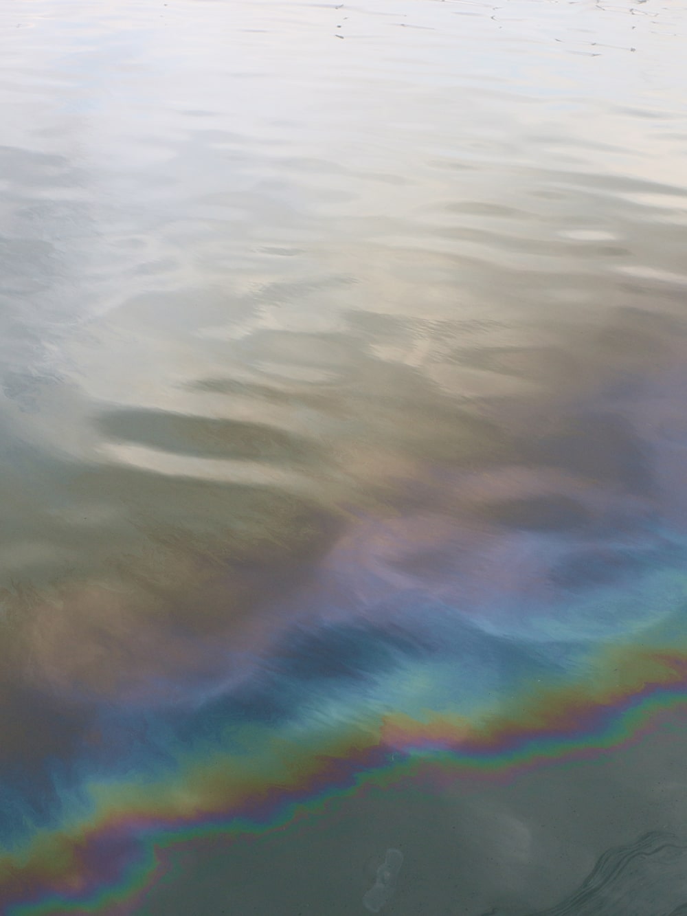 A photograph of the surface of calm water with a slight rainbow refraction